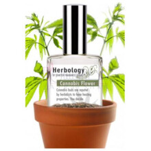 دیمتر فرگرنس کانابیس فلاور